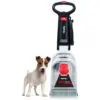 Limpador de Carpete Multifuncional com Ferramenta de Limpeza de Estofamento, 110V, Rug Doctor, Branco