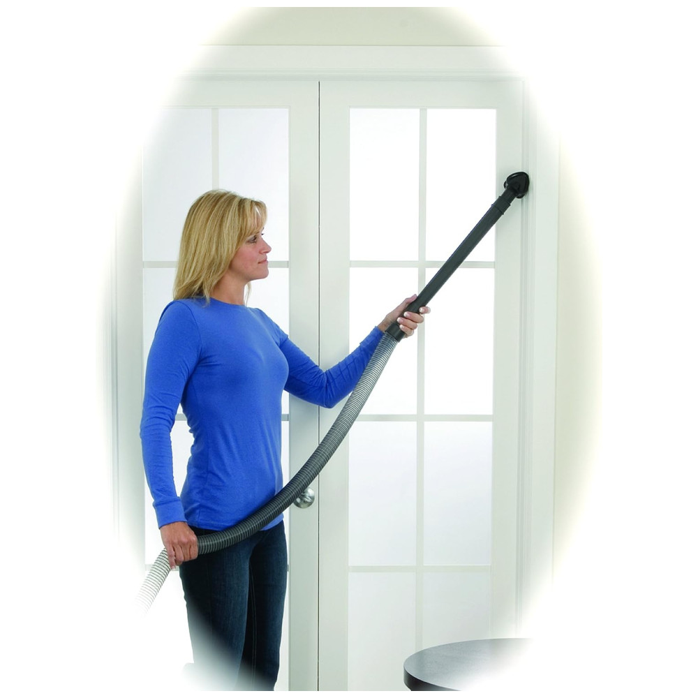 Aspirador de Pó BigGreen, 110v, BISSELL BGU1451T, Verde