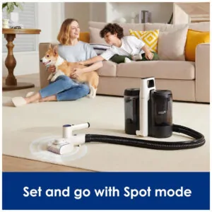 Extratora e Higiniezadora de Carpetes e Estofados Portátil e Sem Fio com Tela LED e Silencioso, CARPET ONE Spot, Preto e Branco