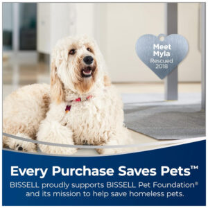 Aspirador de Pó Multifuncional sem Fio com Conectividade Wi Fi e Painel LED, 110V, BISSELL 3279, Roxo