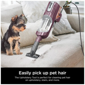 Aspirador de Pó com Fio, TecnologiaHairPro e Neutralizador de Odores, 110V, Shark HZ702, Roxo
