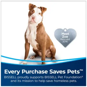 Aspirador de Pó Cleanview, 110v, BISSELL 2252, Preto