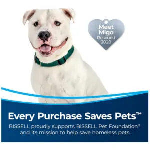 Aspirador de Pó com Sistema de Filtro HEPA, Faróis LED e Rolo sem Emaranhados, 110V, BISSELL MultiClean, Preto