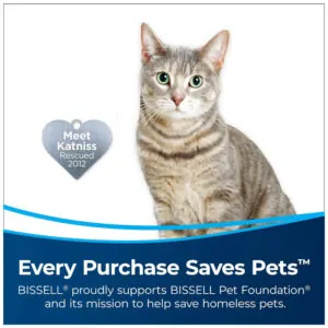 Aspirador de Pó AeroSlim Portátil Sem Fio Recarregável 1100W, BISSELL 29869, Cinza Escuro