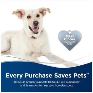 ectqmwtb7yz60b_1 jpg - Aspirador de Pó, 110v, BISSELL 2033, Azul