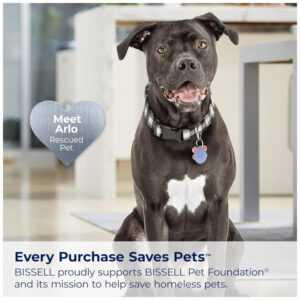 Aspirador de Pó sem Fio com Bateria Removível até 35 Min de Uso e Rolo de Escova sem Emaranhamento, 110V 200W, BISSELL CleanView XR, Preto