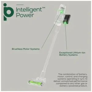 Aspirador de Pó Multifuncional sem Fio com Acessórios, Farol de LED e Carregador USB Ideal para Pets, 170W, 110v, GREENWORKS SVG24L410, Verde